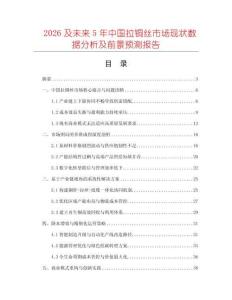 2026及未來5年中國拉銅絲市場現狀數據分析及前景預測報告