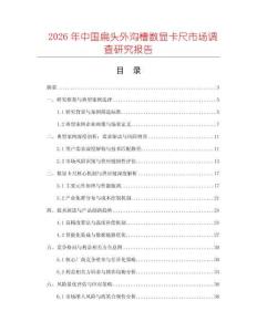 2026年中國扁頭外溝槽數(shù)顯卡尺市場調(diào)查研究報告