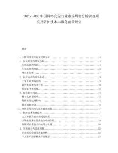 2025-2030中國網絡安全行業市場周密分析深度研究及防護技術與服務前景規劃