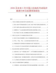 2026及未來5年中國小拉線機市場現狀數據分析及前景預測報告