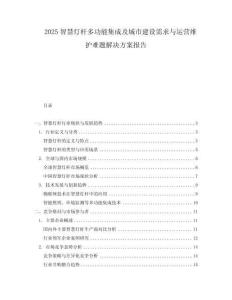 2025智慧燈桿多功能集成及城市建設(shè)需求與運(yùn)營(yíng)維護(hù)難題解決方案報(bào)告