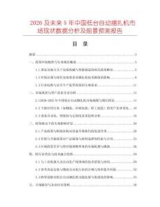 2026及未來5年中國低臺自動捆扎機市場現狀數據分析及前景預測報告