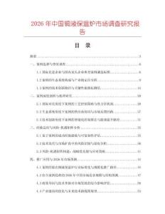 2026年中國銅液保溫爐市場調查研究報告