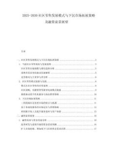 2025-2030社區零售發展模式與下沉市場拓展策略及融資前景展望