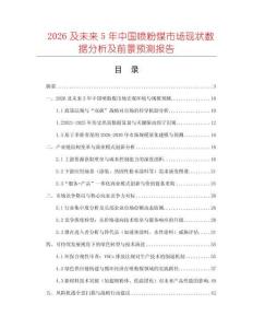 2026及未來5年中國噴粉煤市場現(xiàn)狀數(shù)據(jù)分析及前景預(yù)測報(bào)告