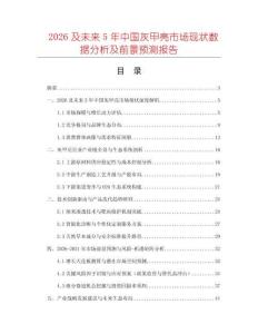 2026及未來5年中國(guó)灰甲亮市場(chǎng)現(xiàn)狀數(shù)據(jù)分析及前景預(yù)測(cè)報(bào)告