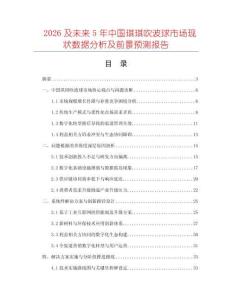 2026及未來5年中國琪琪吹波球市場現狀數據分析及前景預測報告