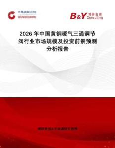 2026年中國(guó)黃銅暖氣三通調(diào)節(jié)閥行業(yè)市場(chǎng)規(guī)模及投資前景預(yù)測(cè)分析報(bào)告