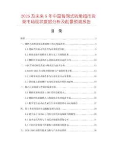 2026及未來5年中國背網式轉角超市貨架市場現狀數據分析及前景預測報告