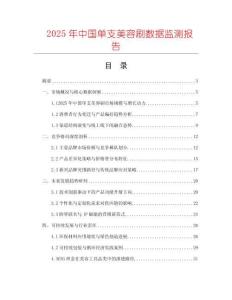 2025年中國(guó)單支美容刷數(shù)據(jù)監(jiān)測(cè)報(bào)告