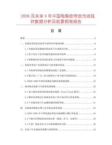 2026及未來5年中國龜裂皮帶皮市場現(xiàn)狀數(shù)據(jù)分析及前景預(yù)測報告