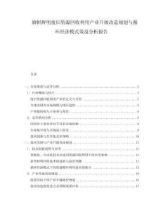 旗幟鮮明廢舊資源回收利用產(chǎn)業(yè)升級(jí)改造規(guī)劃與循環(huán)經(jīng)濟(jì)模式效益分析報(bào)告