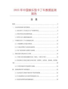 2025年中國娛樂型卡丁車數據監測報告