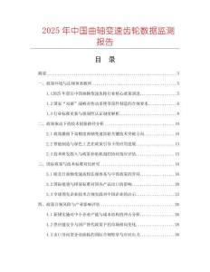 2025年中國(guó)曲軸變速齒輪數(shù)據(jù)監(jiān)測(cè)報(bào)告