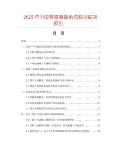 2025年中國管道攝像系統(tǒng)數(shù)據(jù)監(jiān)測報(bào)告