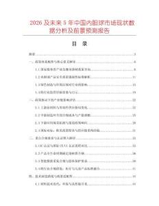 2026及未來5年中國(guó)內(nèi)膽球市場(chǎng)現(xiàn)狀數(shù)據(jù)分析及前景預(yù)測(cè)報(bào)告