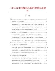 2025年中國橡筋手腕帶數據監測報告