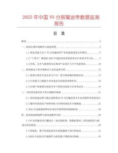 2025年中國NN分層輸送帶數據監測報告