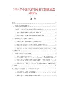 2025年中國天然石榴石項鏈數據監測報告