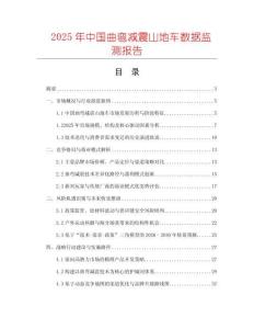 2025年中國曲彎減震山地車數(shù)據(jù)監(jiān)測報告