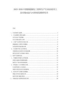 2025-2030中國新能源化工原料生產行業品質至上及市場動態與可持續發展研究書