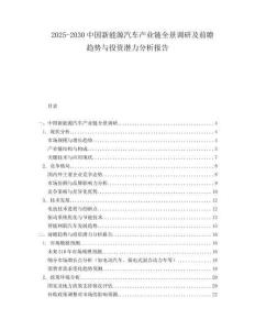 2025-2030中國(guó)新能源汽車產(chǎn)業(yè)鏈全景調(diào)研及前瞻趨勢(shì)與投資潛力分析報(bào)告
