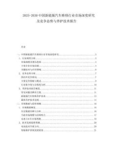 2025-2030中國新能源汽車維修行業(yè)市場深度研究及競爭態(tài)勢與養(yǎng)護技術(shù)報告