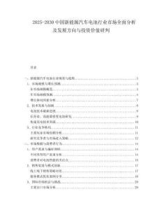 2025-2030中國新能源汽車電池行業(yè)市場全面分析及發(fā)展方向與投資價值研判