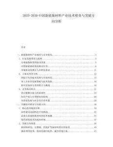 2025-2030中國新能源材料產(chǎn)業(yè)技術(shù)壁壘與突破方向分析