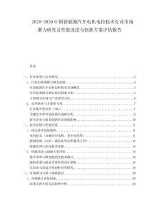 2025-2030中國新能源汽車電機(jī)電控技術(shù)行業(yè)市場潛力研究及性能改進(jìn)與創(chuàng)新方案評(píng)估報(bào)告