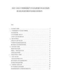 2025-2030中國新能源汽車充電樁城市布局市場供需及技術投資額評估規劃分析報告