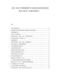 2025-2030中國新能源汽車電機(jī)驅(qū)動(dòng)系統(tǒng)市場供需特征分析及產(chǎn)業(yè)鏈投資報(bào)告