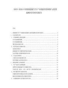 2025-2030中國新能源汽車產(chǎn)業(yè)鏈供需洞察與投資戰(zhàn)略布局研究報(bào)告
