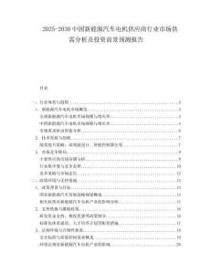 2025-2030中國新能源汽車電機(jī)供應(yīng)商行業(yè)市場供需分析及投資前景預(yù)測報(bào)告