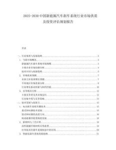 2025-2030中國新能源汽車剎車系統(tǒng)行業(yè)市場供需及投資評(píng)估規(guī)劃報(bào)告