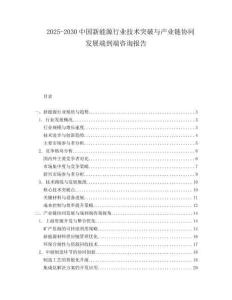 2025-2030中國(guó)新能源行業(yè)技術(shù)突破與產(chǎn)業(yè)鏈協(xié)同發(fā)展端到端咨詢(xún)報(bào)告