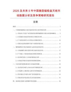 2025及未來5年中國微型磁吸盤天線市場數(shù)據(jù)分析及競爭策略研究報告
