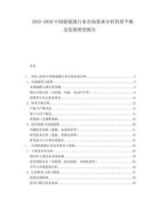 2025-2030中國新能源行業(yè)市場需求分析供需平衡及發(fā)展展望報告