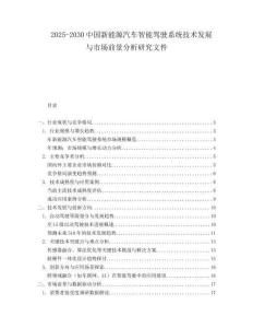 2025-2030中國新能源汽車智能駕駛系統技術發展與市場前景分析研究文件