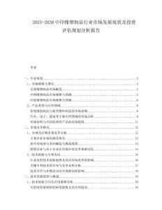 2025-2030中印橡塑制品行業(yè)市場發(fā)展現(xiàn)狀及投資評估規(guī)劃分析報告