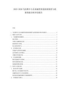 2025-2030馬拉維中小企業融資渠道拓展現狀與政策效能分析評估報告