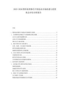 2025-2030圖形處理器芯片制造業市場機遇與投資機會評估分析報告