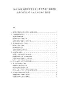 2025-2030通用航空器適航歸類調(diào)查投訴處理機(jī)制完善與新興動(dòng)力傳統(tǒng)飛機(jī)改裝技術(shù)概述