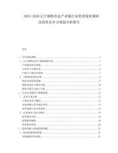 2025-2030遼寧鋼鐵冶金產(chǎn)業(yè)鏈行業(yè)供需現(xiàn)狀調(diào)研及投資競(jìng)爭(zhēng)力規(guī)劃分析報(bào)告