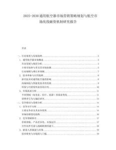 2025-2030通用航空器市場營銷策略規(guī)劃與航空市場化投融資機制研究報告