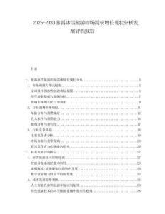 2025-2030旅游冰雪旅游市場需求增長現狀分析發展評估報告