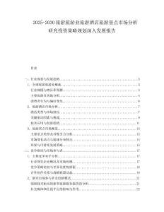 2025-2030旅游旅游業旅游酒店旅游景點市場分析研究投資策略規劃深入發展報告