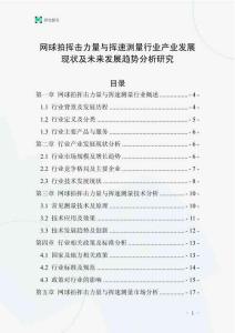 網球拍揮擊力量與揮速測量行業(yè)產業(yè)發(fā)展現狀及未來發(fā)展趨勢分析研究