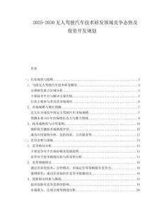 2025-2030無人駕駛汽車技術研發領域競爭態勢及投資開發規劃