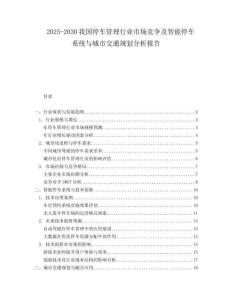 2025-2030我國停車管理行業市場競爭及智能停車系統與城市交通規劃分析報告